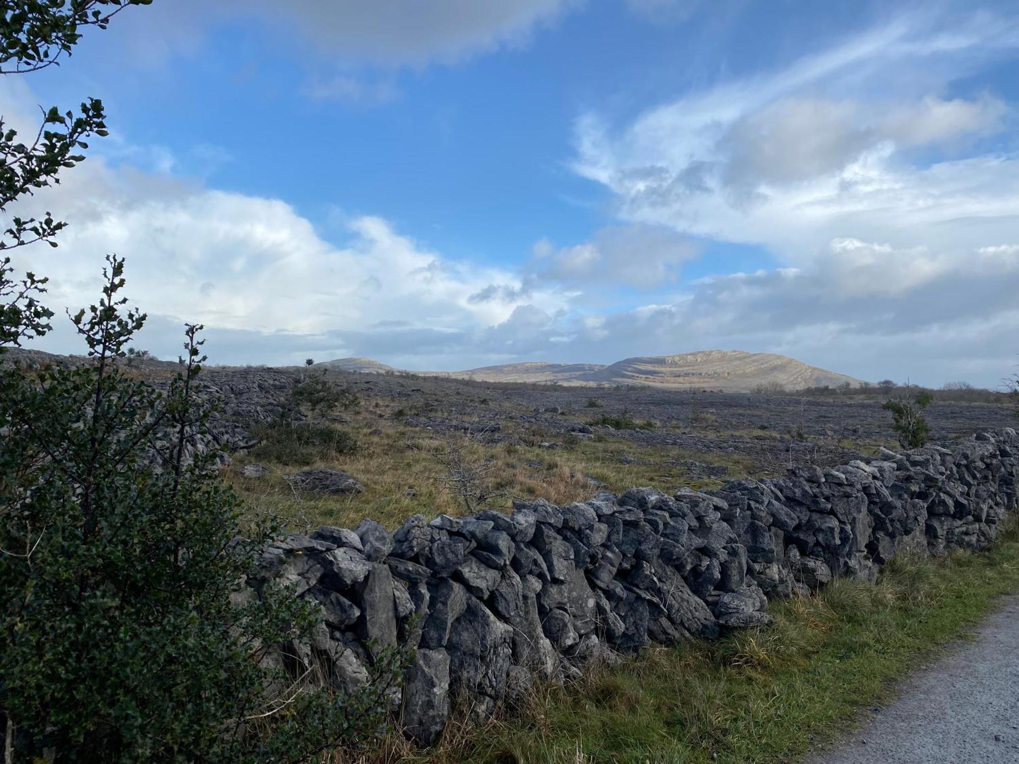 Burren Garden Glamping Hut Villa Boston Dış mekan fotoğraf